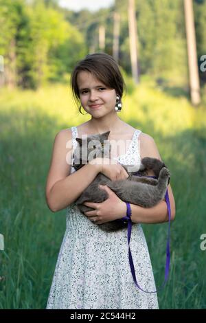 La ragazza adolescente tiene i suoi outdors corti del gatto dei capelli britannici in campagna nella sera soleggiata estiva Foto Stock