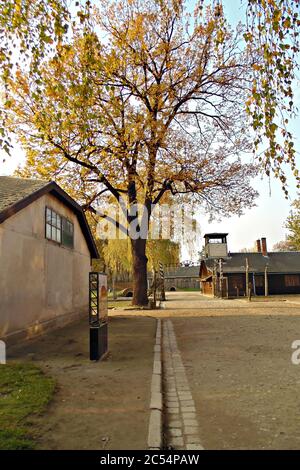 Arama Sonuçları Web sonuçları Auschwitz Birkenau. Campo di concentramento. Polonia Europa. Foto Stock