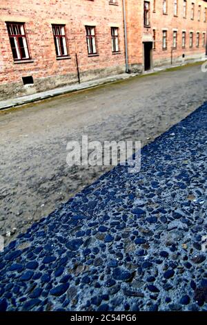 Arama Sonuçları Web sonuçları Auschwitz Birkenau. Campo di concentramento. Polonia Europa. Foto Stock