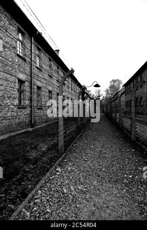 Arama Sonuçları Web sonuçları Auschwitz Birkenau. Campo di concentramento. Polonia Europa. Foto Stock