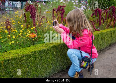 Bambino giovane che scatta una fotografia Foto Stock