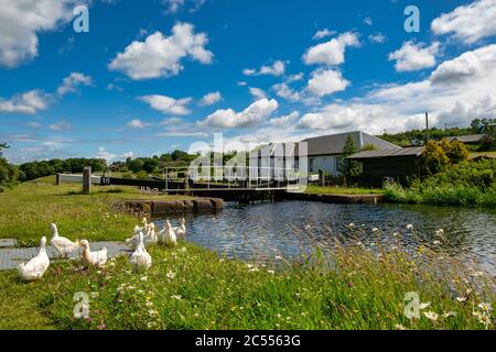 Il canale Forth & Clyde vicino Falkirk, Scozia, Regno Unito Foto Stock