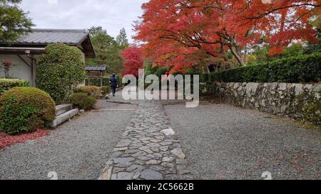 Giardino di colore autunnale nel tempio di Tendriuji durante la stagione autunnale ad Arashiyama Kyoto Giappone Foto Stock