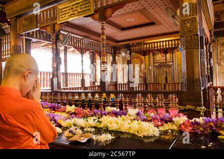 Un monaco prega nella sala di preghiera del Tempio del dente dello Sri Lanka Foto Stock