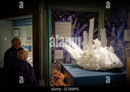 Visitatori del museo che guardano i grandi cristalli di gesso nel Museo Nazionale di Storia Naturale Smithsonian, Washington, DC, USA Foto Stock