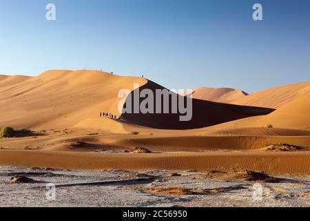 I turisti che camminano sulla Grande Duna Daddy, Namib Naukluft Park, Namibia, Namib Naukluft Park, Namibia Foto Stock