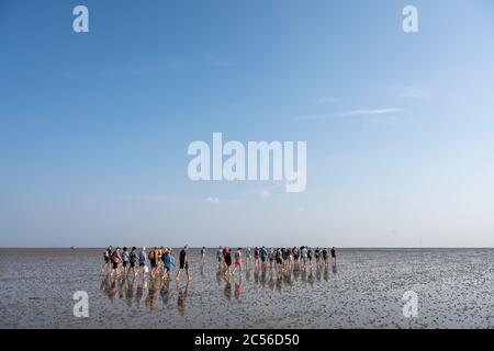 Germania, bassa Sassonia, Frisia orientale, Juist, wadden tour con il leader del wad Heino. Foto Stock