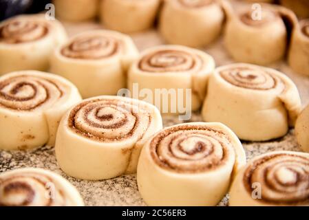 Rotoli di cannella fatti in casa, non cotti, messi in file su un vassoio da forno Foto Stock