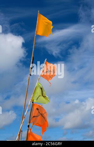 Bandiere colorate di boe da una barca da pesca, Vorupror, Nationalpark Thy, Thisted, Mare del Nord, Jutland del Nord, Danimarca Foto Stock
