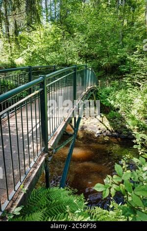 Uno dei ponti che attraversano il torrente e le cascate nel Glenariff Forest Park, nell'Irlanda del Nord Foto Stock