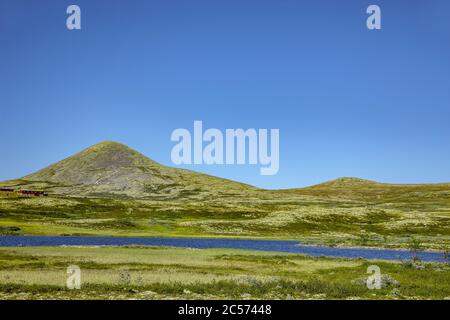 Muen vetta di montagna nel Parco Nazionale di Rondane in Norvegia Foto Stock