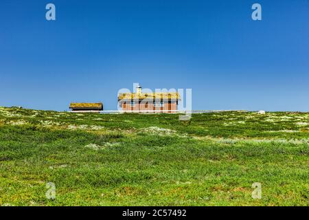 Capanno di tronchi nel Parco Nazionale di Rondane, Norvegia Foto Stock
