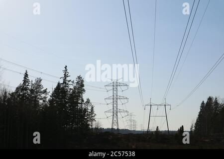 Linee elettriche che attraversano una foresta, Finlandia Foto Stock