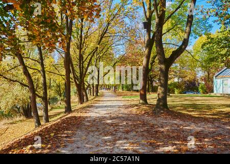 Area ricreativa locale di Steinerne Brücke, Weg, Herbst, Ratisbona Foto Stock