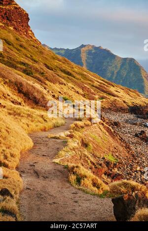 Paesaggio della spiaggia nel Ka'ena Point state Park, Isola Hawaiiana di Oahu, Oahu, Hawaii, Aloha state, Stati Uniti Foto Stock