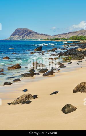 Paesaggio di spiaggia nel Parco di Spiaggia di Kahe Point, Isola Hawaiiana di Oahu, Oahu, Hawaii, Stato di Aloha, Stati Uniti Foto Stock