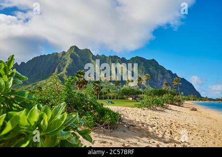 Paesaggio della spiaggia con montagna, Kualoa Rock, Ranch & Zipline, Kualoa Point, Isola Mokoli'i, Parco Regionale Kualoa, Isole Hawaiiane, Hawaii, Aloha Stat Foto Stock