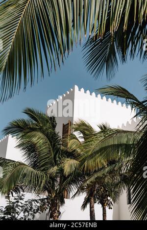 Guardando verso le fronde di palme tropicali contro la torre imbiancata con le castellazioni in una giornata asciutta e soleggiata, Salalah, Oman Foto Stock