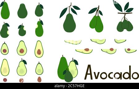 Frutta. Avocado intero e tagliato. Avocado pit. Metà avocado e fette. Rami di albero di avocado con foglie. Insieme di oggetti vettoriali in colori verdi isolati Illustrazione Vettoriale