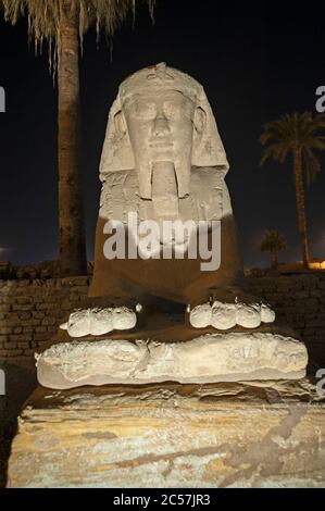 Statua al viale delle sfingi nell'antico tempio egiziano di Luxor illuminato durante la notte Foto Stock