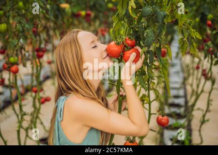 Primo piano di donna che tiene i pomodori sul ramo accanto al viso, pensando di mangiarlo Foto Stock