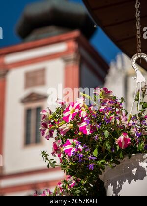 Fiori di fronte alla Basilica della nascita della Vergine Maria a Mariazell (Austria) Foto Stock
