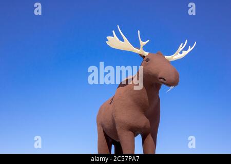 Mac la statua di Moose Roadside attrazione a Moose Jaw Saskatchewan una volta la statua di Moose più alta del mondo Foto Stock