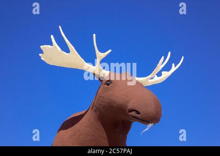Mac la statua di Moose Roadside attrazione a Moose Jaw Saskatchewan una volta la statua di Moose più alta del mondo Foto Stock