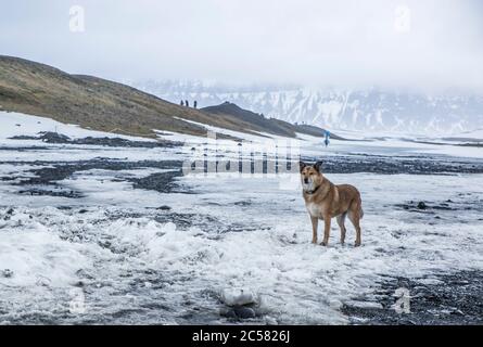 Foto scattate durante il viaggio in Islanda Foto Stock