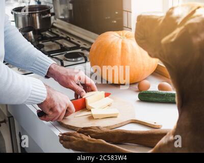 Bell'uomo e un adorabile, grazioso cucciolo Foto Stock