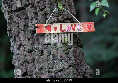 Limpsfield Chart,Surrey,1 luglio 2020,un segno scritto a mano in legno con la parola Amore e cuori disegnati su di esso, visto durante una passeggiata nel bosco in Limpsfield Chart, Surrey. Le previsioni meteo per oggi è 18C con docce a pioggia leggera una brezza moderata e nuvola leggera, docce leggere sono previste per il resto della week.Credit: Keith Larby/Alamy Live News Foto Stock