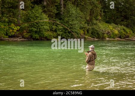 Un uomo si è agganciato in un salmone su una canna da mosca, mentre guado nel fiume verde profondo di Kitimat nella Columbia Britannica, Canada. Foto Stock