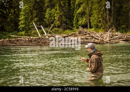 Un uomo si è agganciato in un salmone su una canna di mosca, con la canna piegata, mentre guado nel fiume Kitimat verde profondo nella Columbia Britannica, Canada. Foto Stock