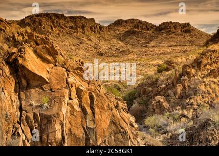 Cañon de los Bandidos, deserto del Chihuahuan in Big Bend Ranch State Park, Texas, Stati Uniti d'America Foto Stock
