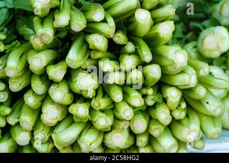 Primo piano di un mazzo di cipolle verdi in una vetrina del negozio. Foto Stock