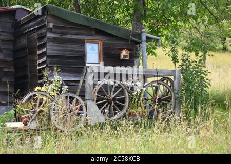 Vecchia casa in legno in Svizzera vicino Zurigo decorata con antiche ruote cart. Cottage è circondato da alberi verdi, cespugli e erba. Foto Stock