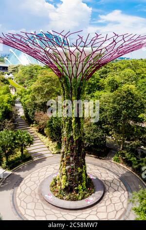 Giardini futuristici presso la baia e Supertree Grove dall'alto a Singapore. Foto Stock