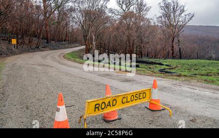 Strada chiusa da fuoco cespuglio danni peggiori nella storia vivente Snowy Mountains regione NSW Australia Foto Stock