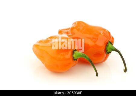 Peperoni piccanti (chinense di Capsicum) su sfondo bianco Foto Stock