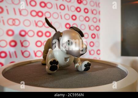 SHENZHEN, CINA - CIRCA APRILE 2019: Primo piano del cane robot AIBO di Sony al Sony Expo 2019 presso l'UpperHills Mall di Shenzhen, Cina. Foto Stock