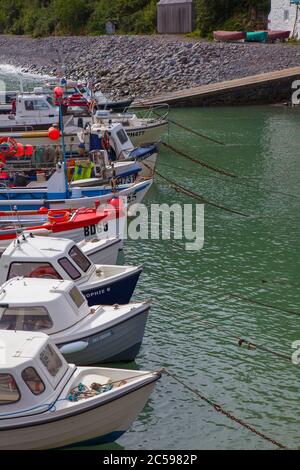 Barche ormeggiate nel porto di Clovelly, Devon del Nord, Inghilterra Foto Stock