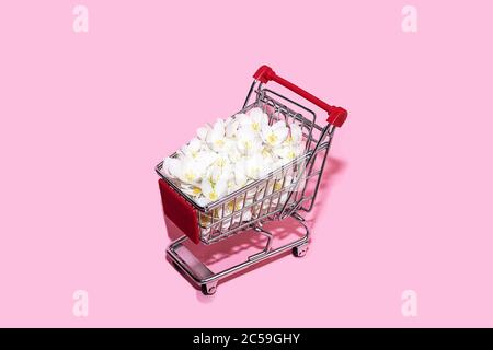 Carrello per lo shopping su sfondo rosa pastello con spazio per la copia. Carrello come segno del Black Friday. Foto Stock