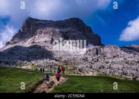 Italia, Veneto, Cortina d'Ampezzo, Dolomiti ampezzane, Patrimonio Mondiale dell'UNESCO, Passo Falzarego, catena della Croda Negra, con la vetta rocciosa dell'Averau Foto Stock