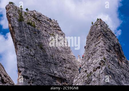 Italia, Veneto, Cortina d'Ampezzo, Dolomiti ampezzane, Patrimonio Mondiale dell'UNESCO, Passo Falzarego, aghi cinque Torri, famosa scuola di arrampicata Foto Stock