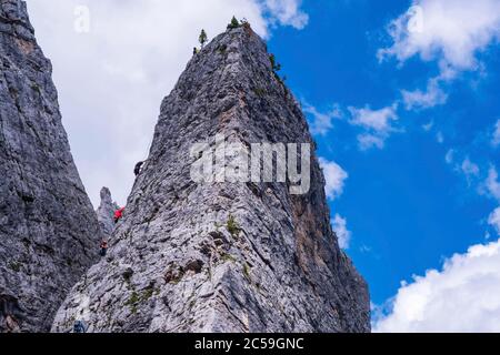 Italia, Veneto, Cortina d'Ampezzo, Dolomiti ampezzane, Patrimonio Mondiale dell'UNESCO, Passo Falzarego, aghi cinque Torri, famosa scuola di arrampicata Foto Stock