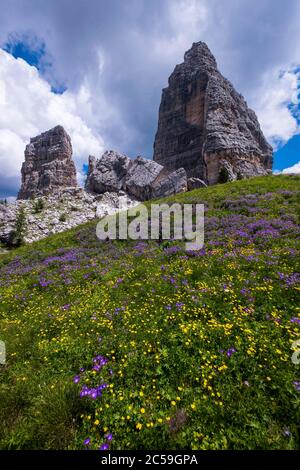 Italia, Veneto, Cortina d'Ampezzo, Dolomiti ampezzane, Patrimonio Mondiale dell'UNESCO, Passo Falzarego, aghi cinque Torri, famosa scuola di arrampicata Foto Stock