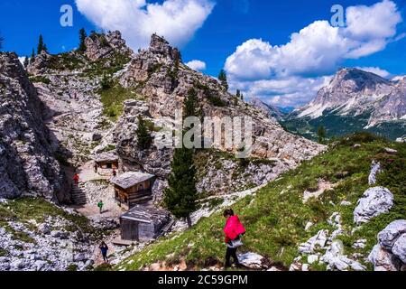 Italia, Veneto, Cortina d'Ampezzo, Dolomiti ampezzane, Patrimonio Mondiale dell'UNESCO, Passo Falzarego, aghi cinque Torri, museo all'aperto della Grande Guerra e sentiero di scoperta delle trincee e casemate della Guerra delle Dolomiti tra Italia e Austria Foto Stock