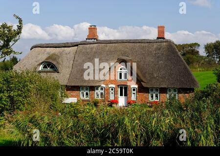 Casa Frisia a Westerhever sulla penisola di Eiderstedt in Frisia settentrionale, Schleswig-Holstein, Germania Foto Stock