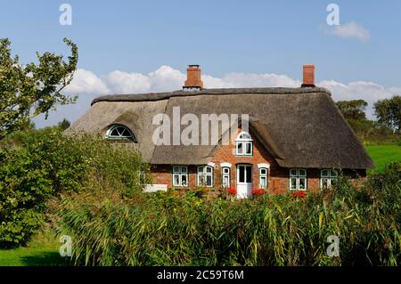 Casa Frisia a Westerhever sulla penisola di Eiderstedt in Frisia settentrionale, Schleswig-Holstein, Germania Foto Stock