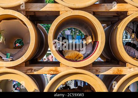 Tubular Living Spaces in Hiwa K’s Installation ‘When We were exhaling Images’ auf der documenta 14 a Kassel, Germania. Documenta Impressioni a Kassel, Germania Foto Stock